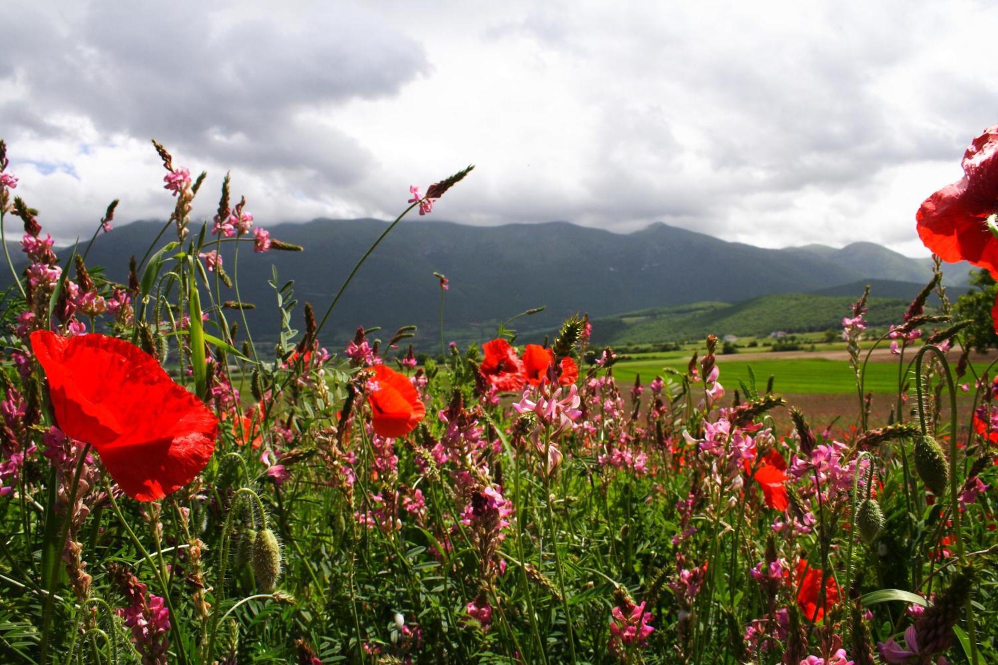 Agriturismo La Cascina Di Opaco Norcia Luaran gambar