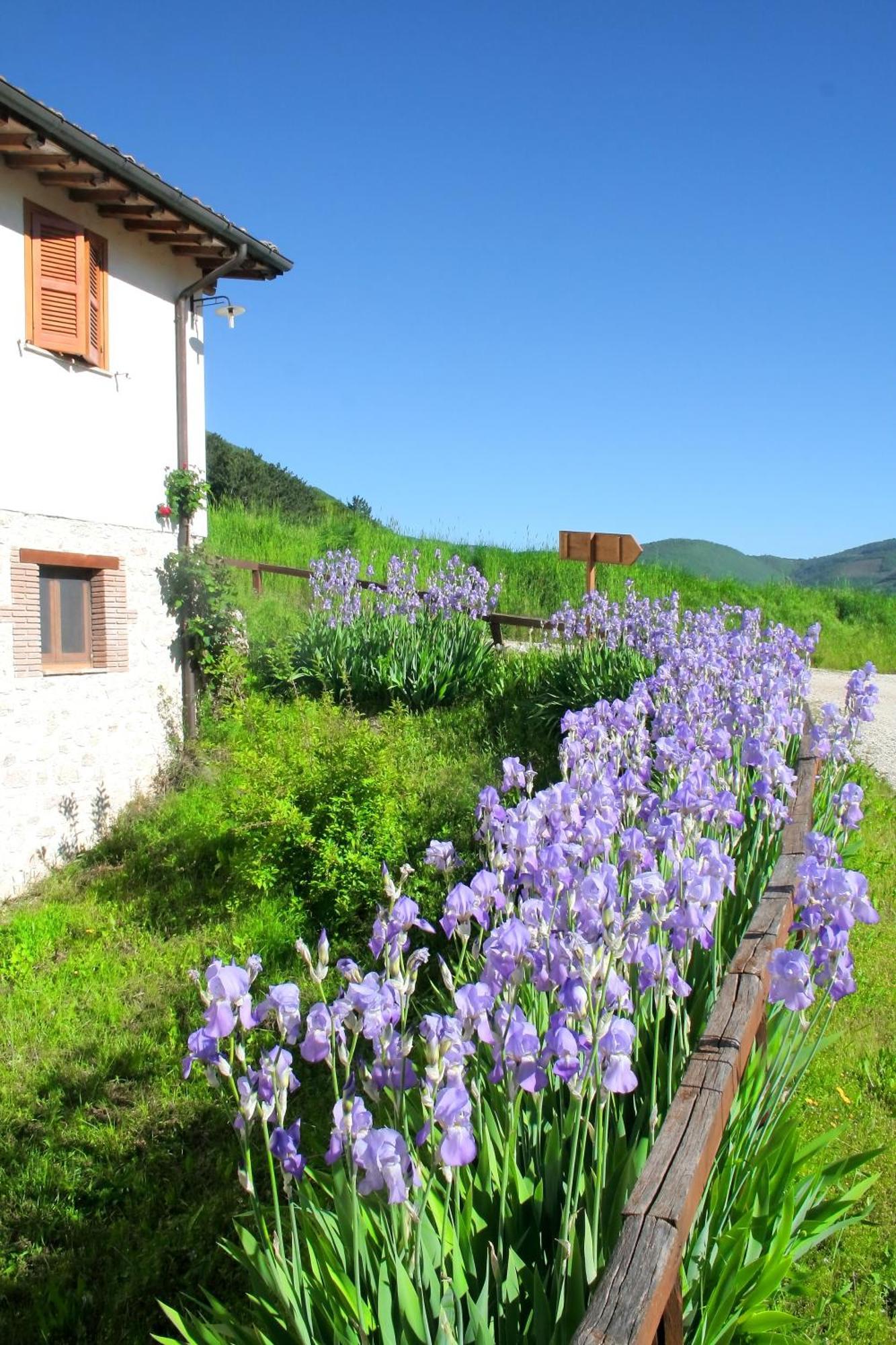 Agriturismo La Cascina Di Opaco Norcia Luaran gambar